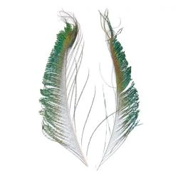 Serge Boulard Inc. Feathers Swords Peacock
