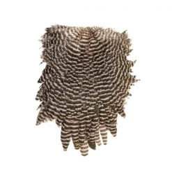 Whiting Farms Feathers Grade Pro Grizzly Rooster Saddle Hackle