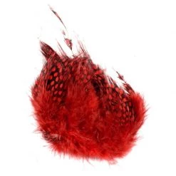 SHOR Fishing Strung & Dyed Guinea Feathers -Fishing Sales Shop 346117 016 ROUGE
