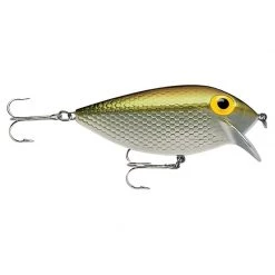 Storm Plugs Thin Fin Bait 2.5"