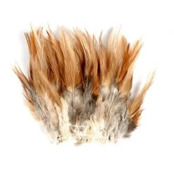 SHOR Fishing Feathers Saddle Hackle 3-5" -Fishing Sales Shop 38761 01 redgame