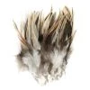 SHOR Fishing Feathers Saddle Hackle 3-5" -Fishing Sales Shop 38763 05 badger