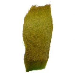 Fishing Sales Shop -Fishing Sales Shop 388906