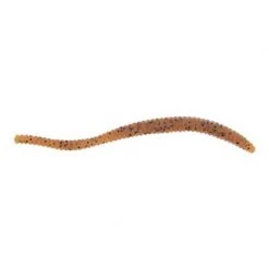 Berkley Soft baits and artificial worms PowerBait Power Floating Trout Worm Jig -Fishing Sales Shop 408308