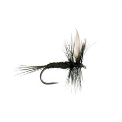 Mouches Neptune Flies Dry flies Black Gnat Dry Fly
