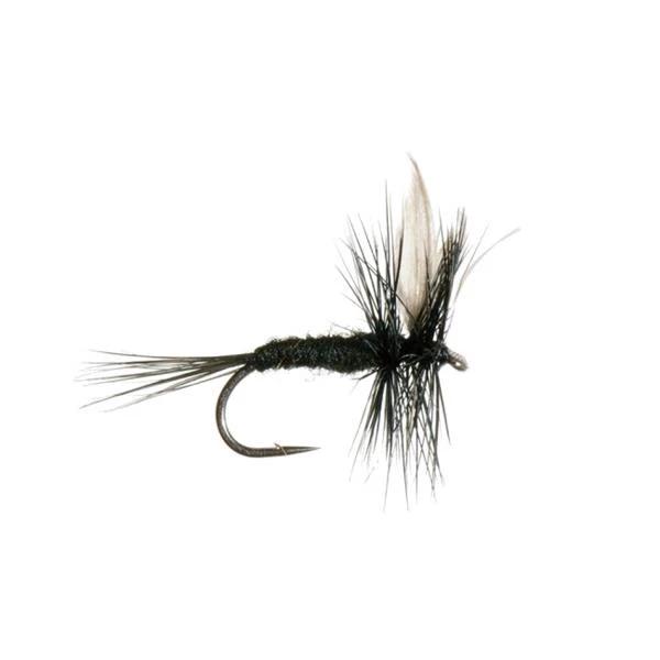 Mouches Neptune Flies Dry flies Black Gnat Dry Fly 3 Mouches Neptune Flies Dry flies Black Gnat Dry Fly