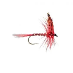 Mouches Neptune Flies Dry flies Dark Montreal Dry Fly