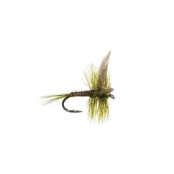 Mouches Neptune Flies Dry flies Light Olive Quill Dry Fly