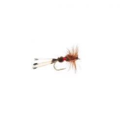 Mouches Neptune Flies Dry flies Royal Coachman Dry Fly
