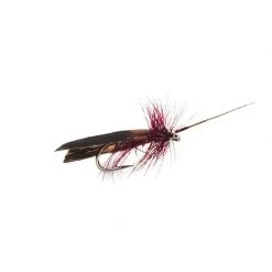 Mouches Neptune Flies Dry flies Tent Caddis Dry Fly -Fishing Sales Shop 423598