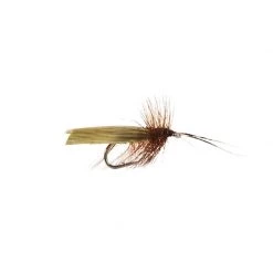 Mouches Neptune Flies Dry flies Tent Caddis Dry Fly -Fishing Sales Shop 423610
