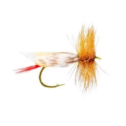 Mouches Neptune Flies Dry flies Miracle Foam Body Dry Fly -Fishing Sales Shop 423618 003 17006 Orange