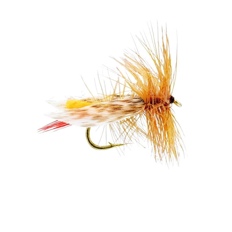 Mouches Neptune Flies Dry flies Grasshopper Dry fly 4 Mouches Neptune Flies Dry flies Grasshopper Dry fly - Image 2