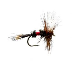 Mouches Neptune Flies Dry flies Wulff Dry Fly -Fishing Sales Shop 436457 005 30710 Royal