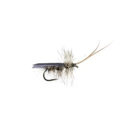 Mouches Neptune Flies Dry flies Tent Caddis Dry Fly -Fishing Sales Shop 447809
