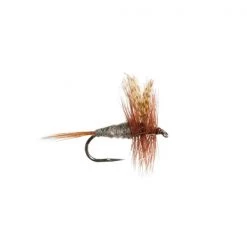 Mouches Neptune Flies Dry flies Dark Cahill Dry Fly