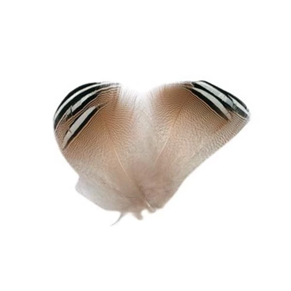 Serge Boulard Inc. Woodduck Black and White Flank Feathers 3 Serge Boulard Inc. Woodduck Black and White Flank Feathers