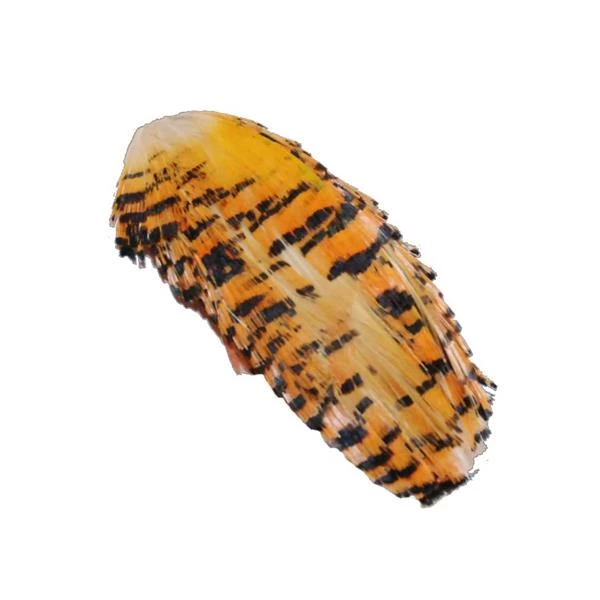 SHOR Fishing Feathers Golden Pheasant Tippet #1 3 SHOR Fishing Feathers Golden Pheasant Tippet #1