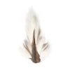 SHOR Fishing Fur Deer Tail -Fishing Sales Shop 495880 001 blanc