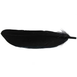 SHOR Fishing Feathers Duck Quills -Fishing Sales Shop 498409
