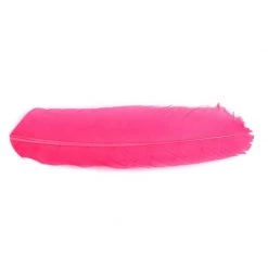Serge Boulard Inc. Feathers Dyed Turkey Quills -Fishing Sales Shop 508278 013 PINK