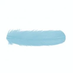 Serge Boulard Inc. Feathers Dyed Turkey Quills -Fishing Sales Shop 513546 017 LIGHT BLUE