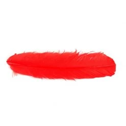Serge Boulard Inc. Feathers Dyed Turkey Quills -Fishing Sales Shop 522795 015 ROUGE