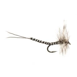 Mouches Neptune Flies Dry flies Extended Body Mayfly Dry Fly -Fishing Sales Shop 5B010 906105D20Grizzly20Extended20Body20Mayfly