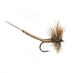 Mouches Neptune Flies Dry flies Extended Body Mayfly Dry Fly -Fishing Sales Shop 5B010 909105D20Olive20Grey20Extended20Body20Mayfly