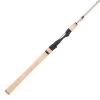 Fenwick Spinning rods Techna Spinning Rod