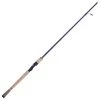 Fenwick Spinning rods Eagle Salmon Spinning Rod