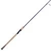 Fenwick Telescopic and sectional fishing rods Eagle Travel Spinning Rod