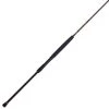 Penn Spinning rods Squadron III Surf Spinning Rod