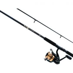 Daiwa Spinning rod and reel combos D-Wave Saltwater Spinning Combo