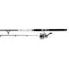 Daiwa Spinning rod and reel combos D-Wave Saltwater Spinning Combo