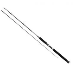Daiwa Other rods Great Lakes Trolling Rod