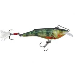 Salmo Plugs Rail Shad 6 Sinking Crankbait 21 Salmo Plugs Rail Shad 6 Sinking Crankbait -Fishing Sales Shop B08212