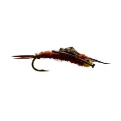 Mouches Neptune Flies Nymph flies Bead Head RL Stonefly -Fishing Sales Shop B13356035 210204 Brown