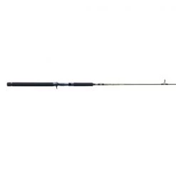 St.Croix Spinning rods Eyecon Trolling Rod
