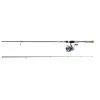 Daiwa Spinning rod and reel combos Legalist LT Spinning Combo
