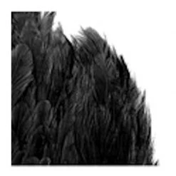 SHOR Fishing Feathers Prenium Genetic Hen Saddle