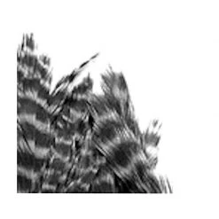 SHOR Fishing Feathers Prenium Genetic Hen Saddle -Fishing Sales Shop M160468 SH FEHSGR