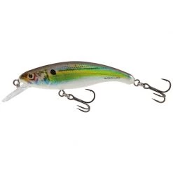 Salmo Plugs Slick Stick 6 Floating Lure
