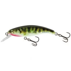 Salmo Plugs Slick Stick 6 Floating Lure -Fishing Sales Shop QSU006