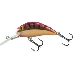 Salmo Plugs Hornet 5 Floating Crankbait -Fishing Sales Shop hornet qht104