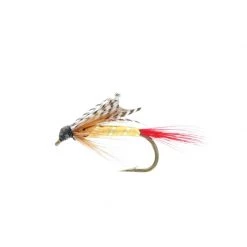 Etic Wet flies Wet Fly with nerves 13 Etic Wet flies Wet Fly with nerves -Fishing Sales Shop professor